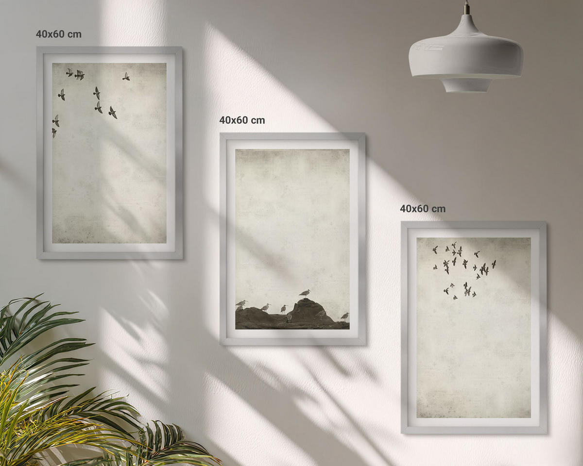 BILDER SET 3er Set - 40x60 cm Silberner Rahmen - Fliegende Vögel Minimalismus - Silberfarben, Kunststoff (40/60cm) - TULUP