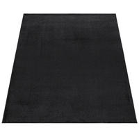 KURZFLORTEPPICH 160/160 cm Porto 890 - Schwarz, Textil (160/160cm) - Paco Home