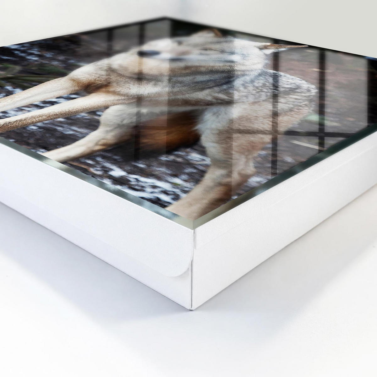 SCHLÜSSELBOX Weiß 30x30 cm – Türöffnung nach rechts - Wolf im Wald - Grau, Metall (30/30/5cm) - TULUP
