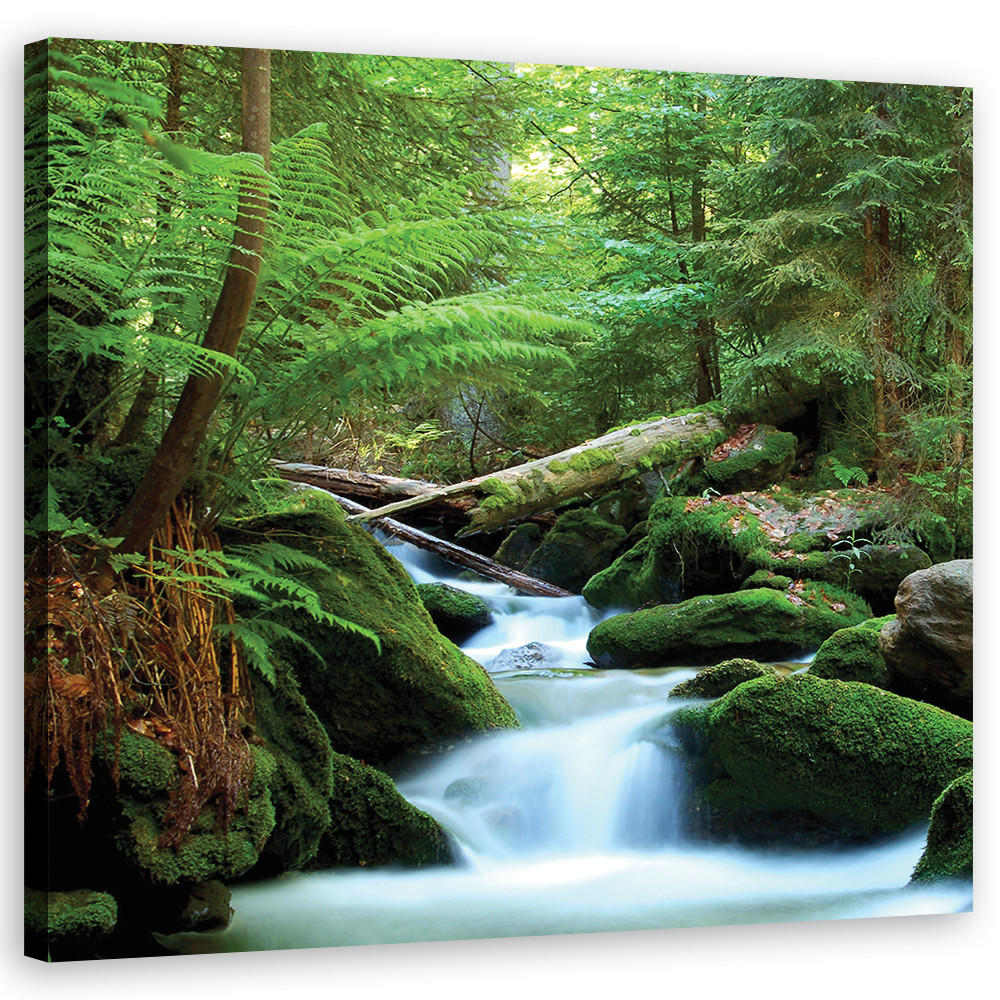 LEINWANDBILD, Landschaften - Grün 40x40cm - Grün, Textil (40/40cm) - Feeby