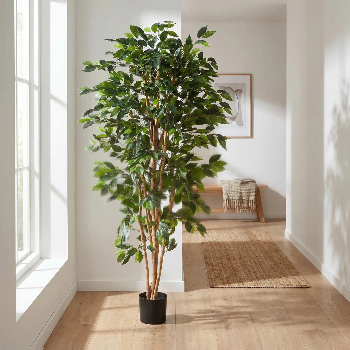 KUNSTBAUM Künstlicher Ficusbaum – Sylvior 150 cm - Grün, Kunststoff (150cm) - aplanta