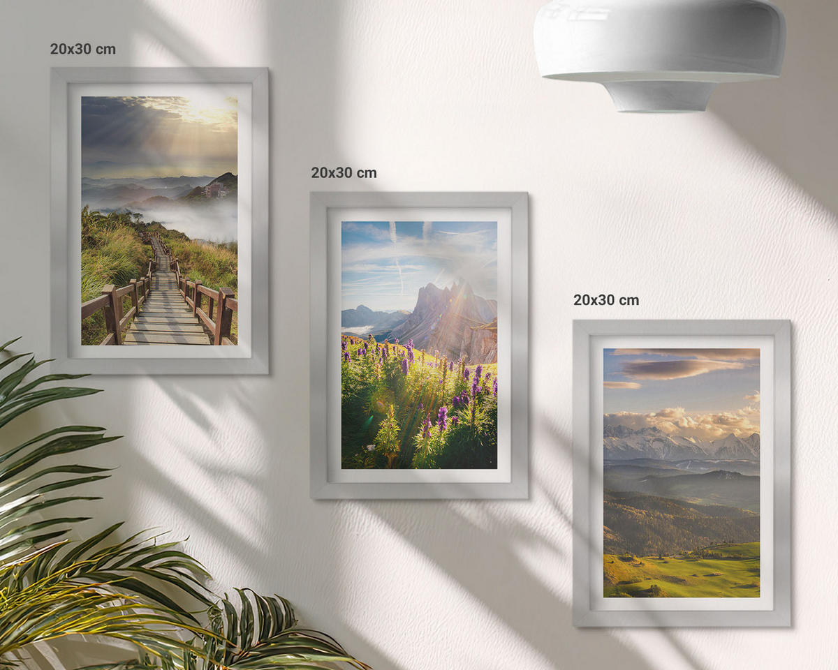 BILDER SET 3er Set - 20x30 cm Silberner Rahmen - Berglandschaft mit Blumen - Silberfarben, Kunststoff (20/30cm) - TULUP