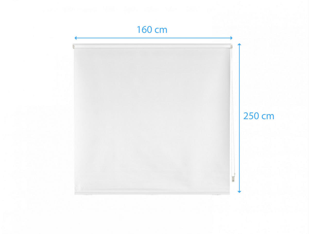 ROLLO Polyester Transluzent Weiß 160x250 - Weiß, Textil (160/250/1cm) - Purline