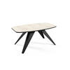 COUCHTISCH Luna Chromix Weiß / Schwarz 120 / 60 / 48cm - Ecru/Schwarz, Holz/Holzwerkstoff (60/120/48cm) - Feldmann-Wohnen