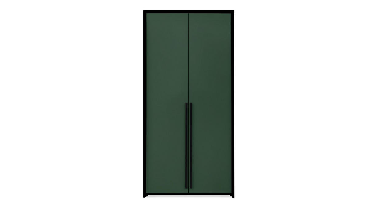 DREHTÜRENSCHRANK AZIR 105/217/65 cm 2-türig Grün - Grün, Holzwerkstoff (105/217/65cm) - MASSENO
