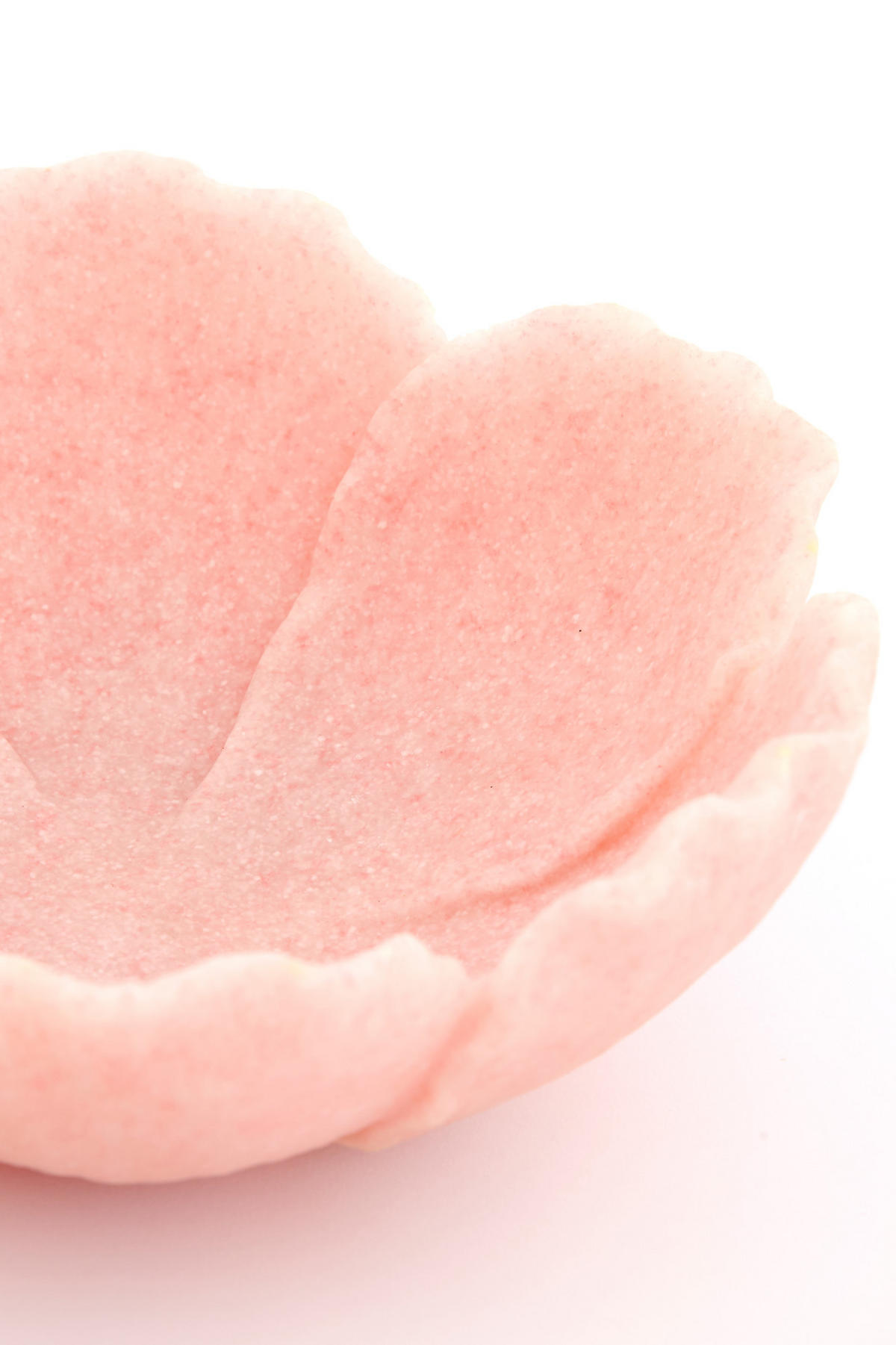 SCHALE Freesia Rosa Ø25,5/9,5 cm - Pink, Kunststoff (9.5cm) - Light & Living