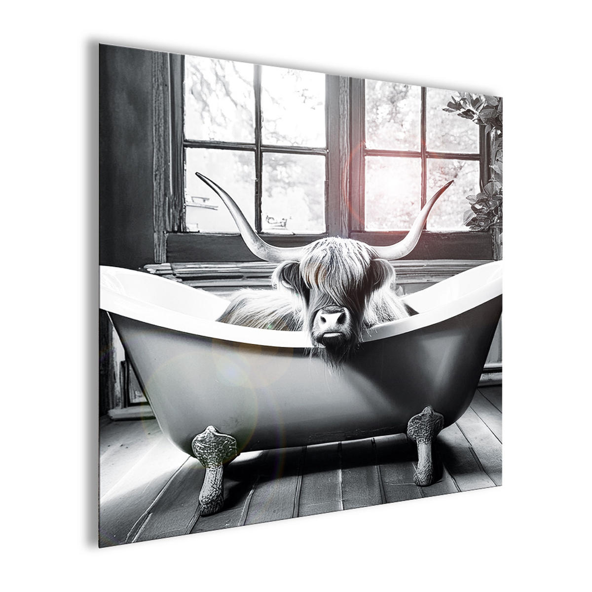 GLASBILD 50x50 cm Hochlandrind Badezimmer schwarz weiß - Weiß, Glas (50/50cm) - artissimo