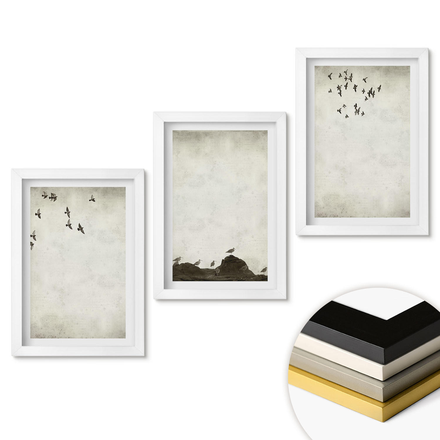 WANDBILDER 3er-Set - 20x30 cm Weißer Rahmen - Fliegende Vögel Minimalismus - Weiß, Kunststoff (20/30cm) - ArtPrintCave
