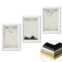 WANDBILDER 3er-Set - 20x30 cm Weißer Rahmen - Fliegende Vögel Minimalismus - Weiß, Kunststoff (20/30cm) - ArtPrintCave