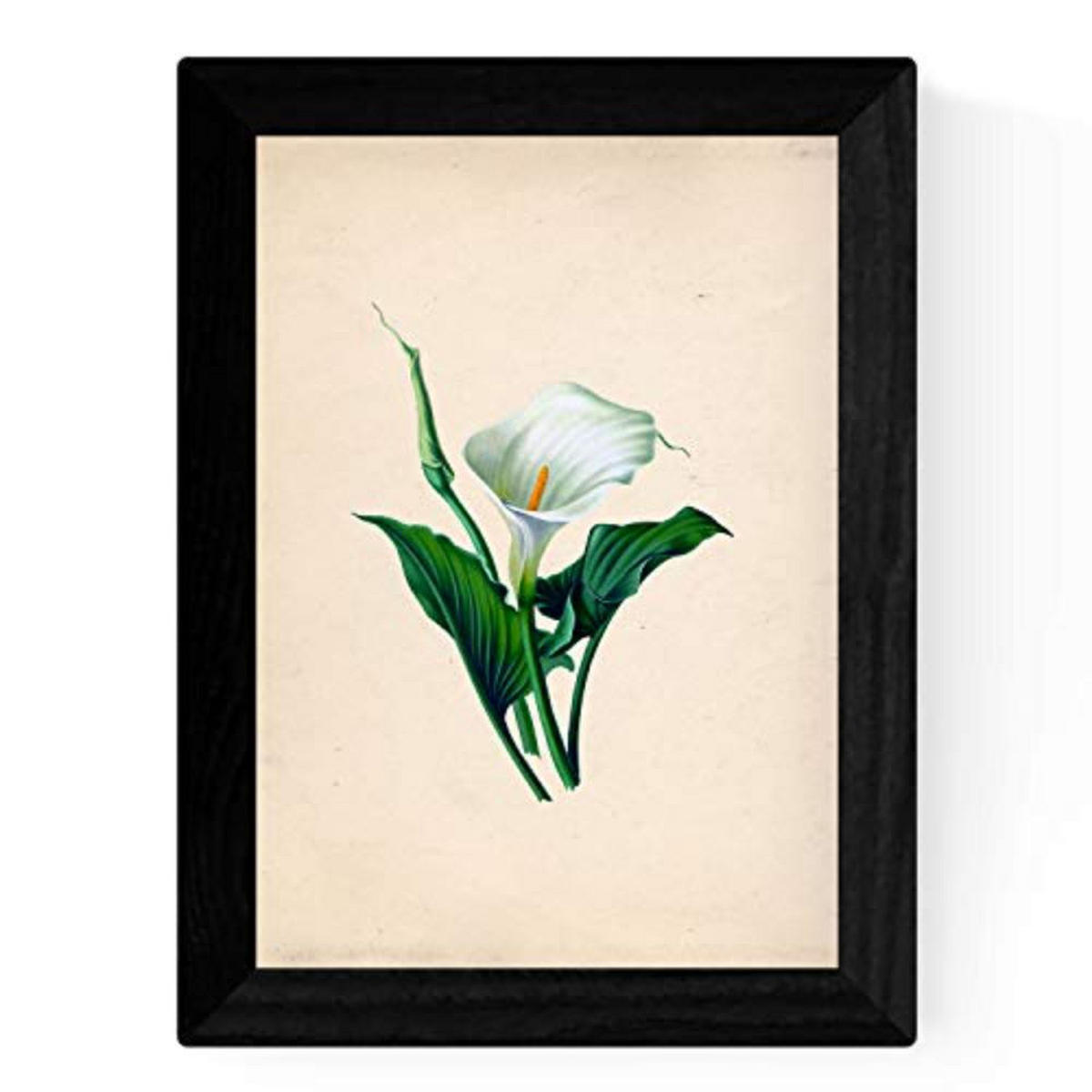 POSTER Set mit 4 Botanische Papier Hintergrund helle Blumen A4 Rahmenlos - Klar, Papier (29.7/3cm) - Nacnic