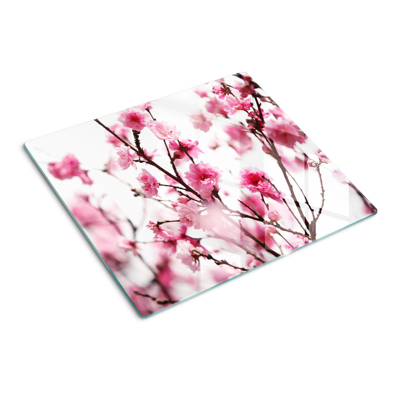 GLASPLATTE 60x52 cm Pflaumenblüte - Pink, Glas (60/0.4/52cm) - TULUP