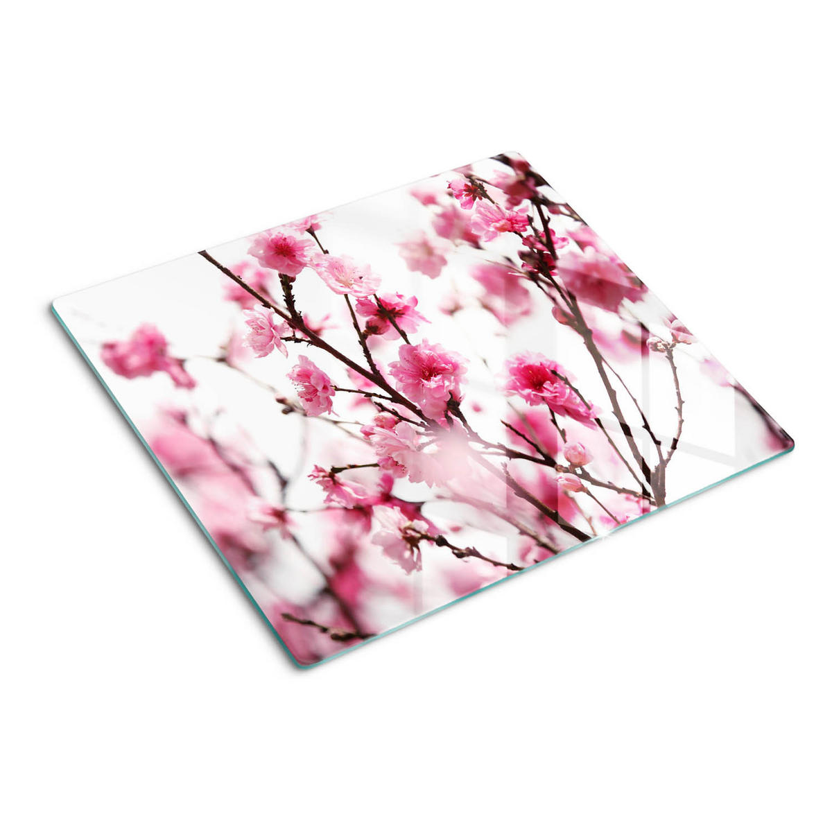 GLASPLATTE 60x52 cm Pflaumenblüte - Pink, Glas (60/0.4/52cm) - TULUP