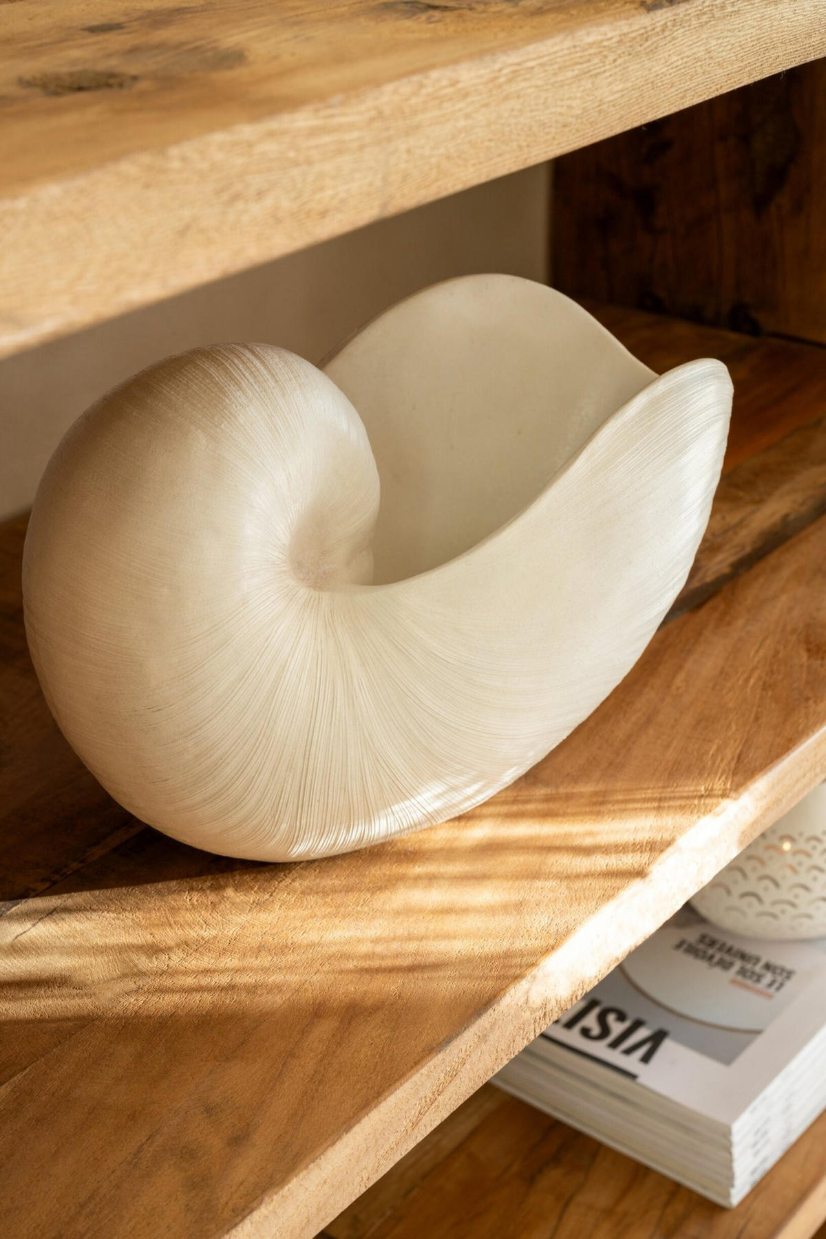 DEKO MUSCHEL Weiß - Weiß, Glas/Naturmaterialien (16.5/21.5/31cm) - J-Line