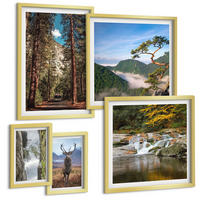 BILDER SET 5er Set - 50x50 cm & 20x30 cm & 40x60 cm Goldrahmen - Wasserfall Wald Berge Hirsch Natur - Goldfarben, Kunststoff (40/60cm) - TULUP