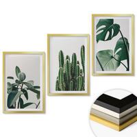 WANDBILDER 3er Set - 40x60 cm Goldrahmen - Tropische ästhetische Pflanzen - Goldfarben, Kunststoff (40/60cm) - ArtPrintCave