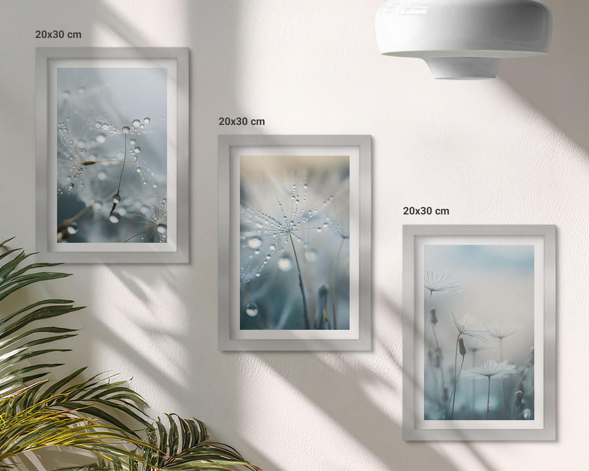 WANDBILDER 3er Set - 20x30 cm Silberner Rahmen - Tautropfen auf Löwenzahn - Silberfarben, Kunststoff (20/30cm) - ArtPrintCave