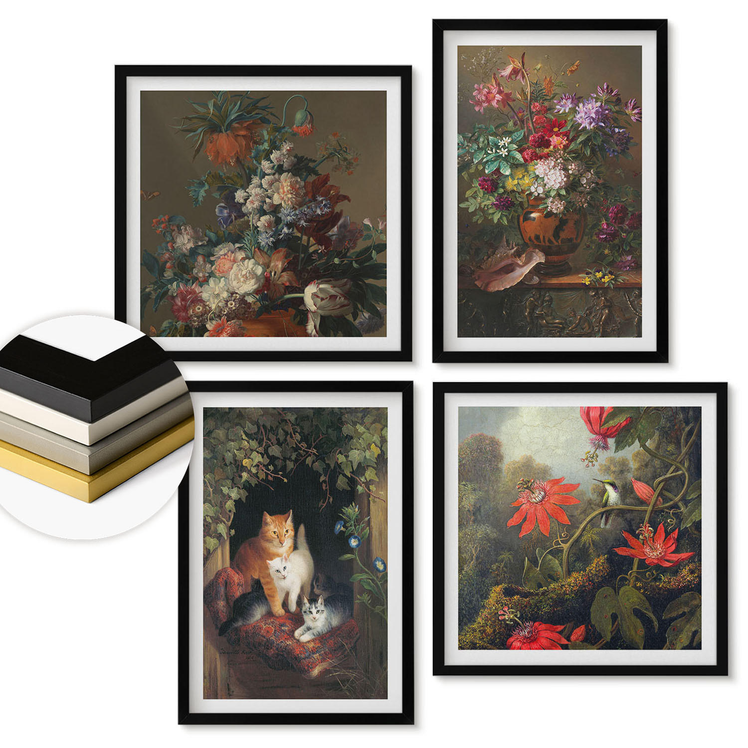 WANDBILDER 4er-Set - 50x50 cm & 40x60 cm Schwarzer Rahmen - Vintage-Blumen, Katzen, Pflanzen - Schwarz, Kunststoff (50/50cm) - ArtPrintCave