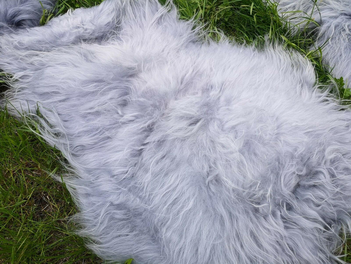 FELL Islandschaffell grau ca. 100 cm - Schwarz/Weiß, Fell (60/100cm) - Provellus