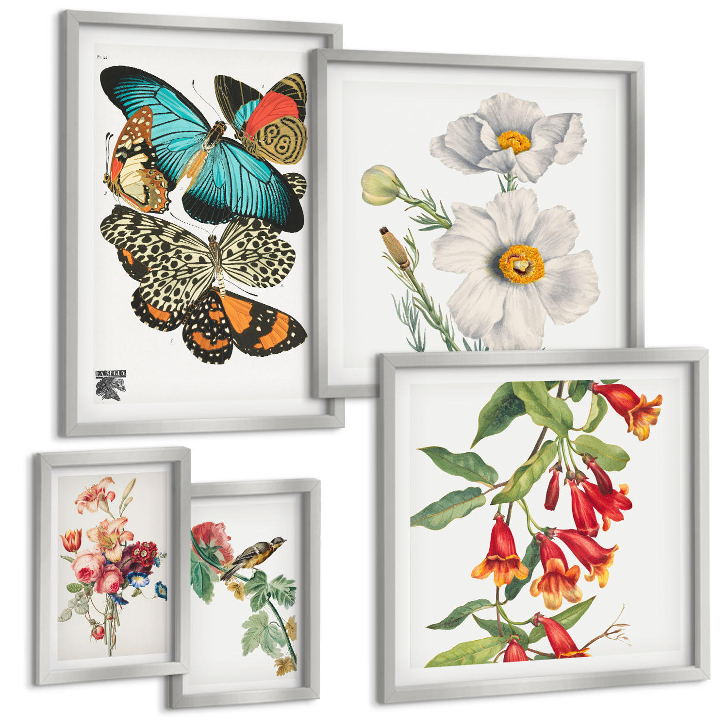 BILDER SET 5er Set - 50x50 cm & 20x30 cm & 40x60 cm Silberner Rahmen - Blumen, Schmetterlinge, Vögel, Pastellfarben - Silberfarben, Kunststoff (40/60cm) - TULUP