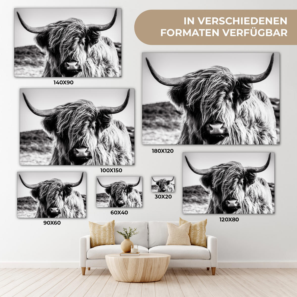LEINWANDBILD Kuh - Schottischer Hochländer - Schwarz - Weiß - Tier - Natur - Wildtiere XXL 150x100 cm - Schwarz, Textil (150/100cm) - MuchoWow
