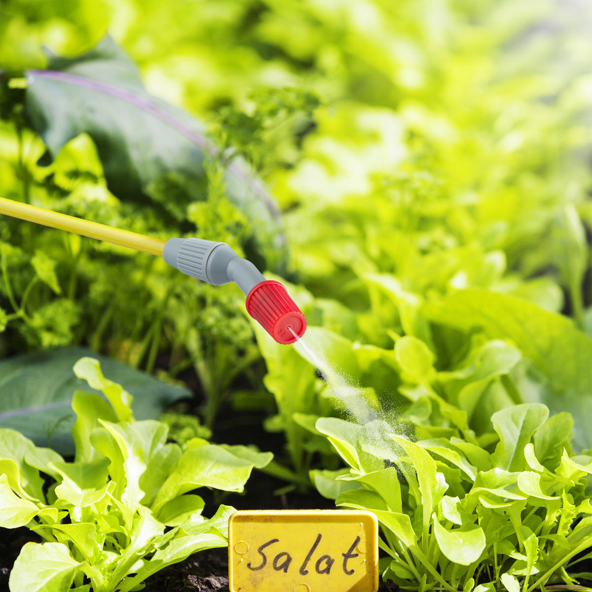 DRUCKSPRÜHER - Weiß, Kunststoff (65/45/17.5cm) - Relaxdays