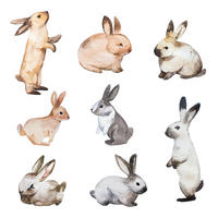 WANDAUFKLEBER 60x108cm - Hasenland - Multicolor, Kunststoff (60/108/0.1cm) - Wallfluent