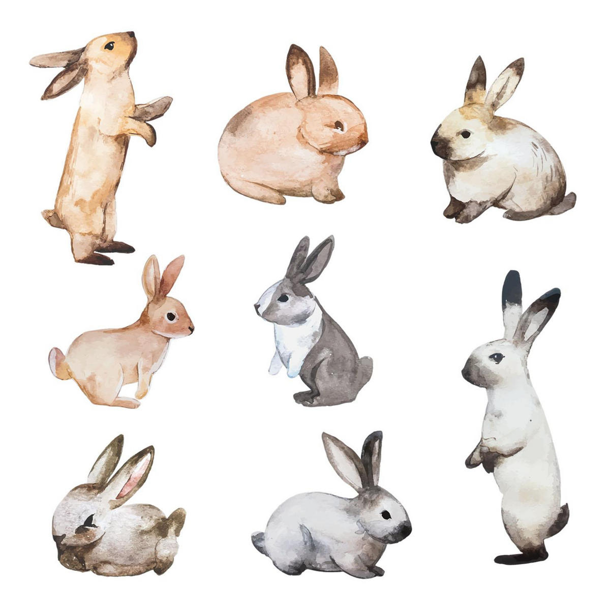 WANDAUFKLEBER 60x108cm - Hasenland - Multicolor, Kunststoff (60/108/0.1cm) - Wallfluent