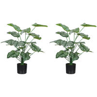 PFLANZENSET Grün realistisch mit Topf 65 cm (2er-Set) - Grün, Kunststoff (65cm) - PANGIVO