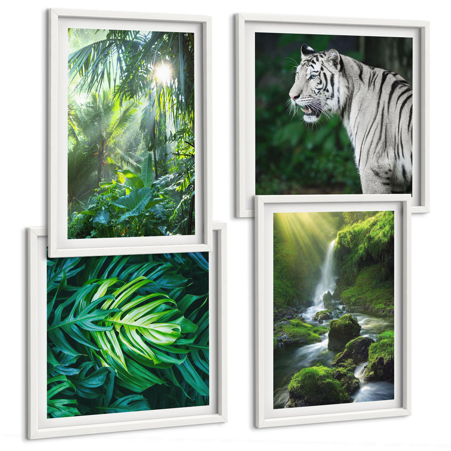 BILDER SET 4er Set - 50x50 cm & 40x60 cm Weißer Rahmen - Dschungel-Weißtiger-Wasserfall - Weiß, Kunststoff (50/50cm) - TULUP