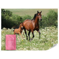 FOTOTAPETE Pferde Lichtung Pflanzen Natur 200x140 - Beige/Schwarz, Papier (200/140cm) - Muralo