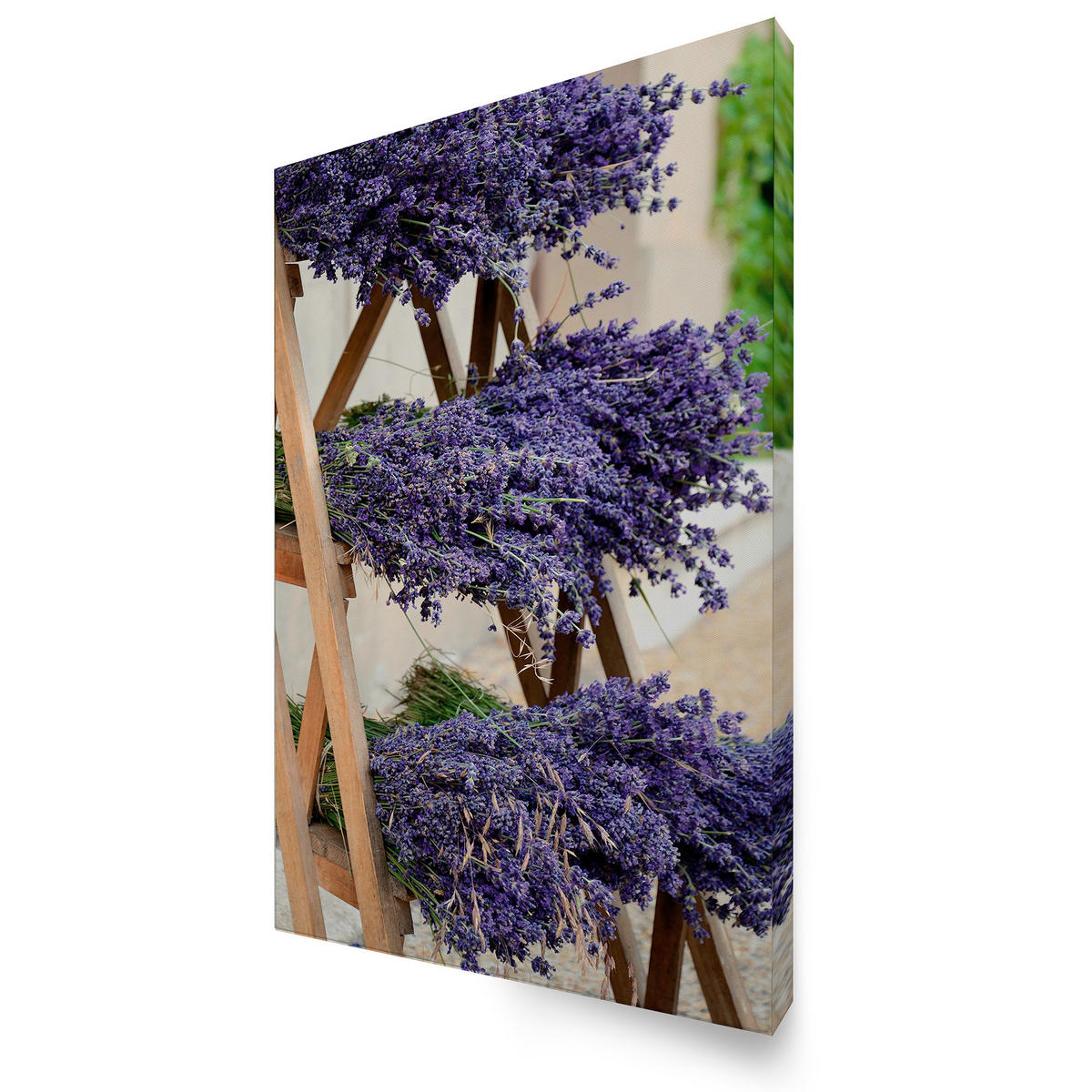 LEINWANDBILD Getrockneter Lavendel 70x50cm - Lila, Textil (70/1cm) - Art for the Home