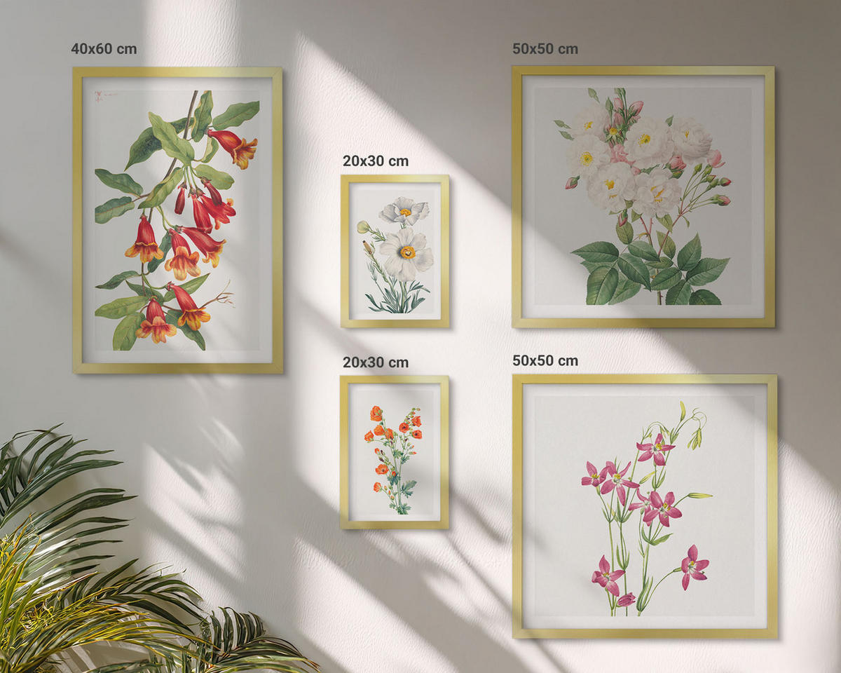 BILDER SET 5er Set - 50x50 cm & 20x30 cm & 40x60 cm Goldrahmen - Retro-Blumenmalerei - Goldfarben, Kunststoff (40/60cm) - TULUP