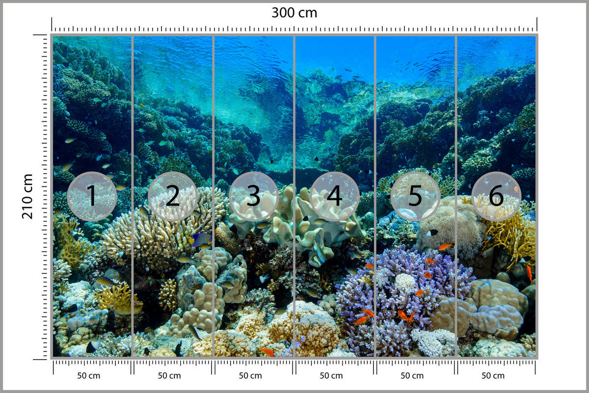 FOTOTAPETE Unterwasserwelt Korallenriff Bunte Fische Meer Natur 300x210 - Türkis/Gelb, Papier (300/210cm) - Muralo