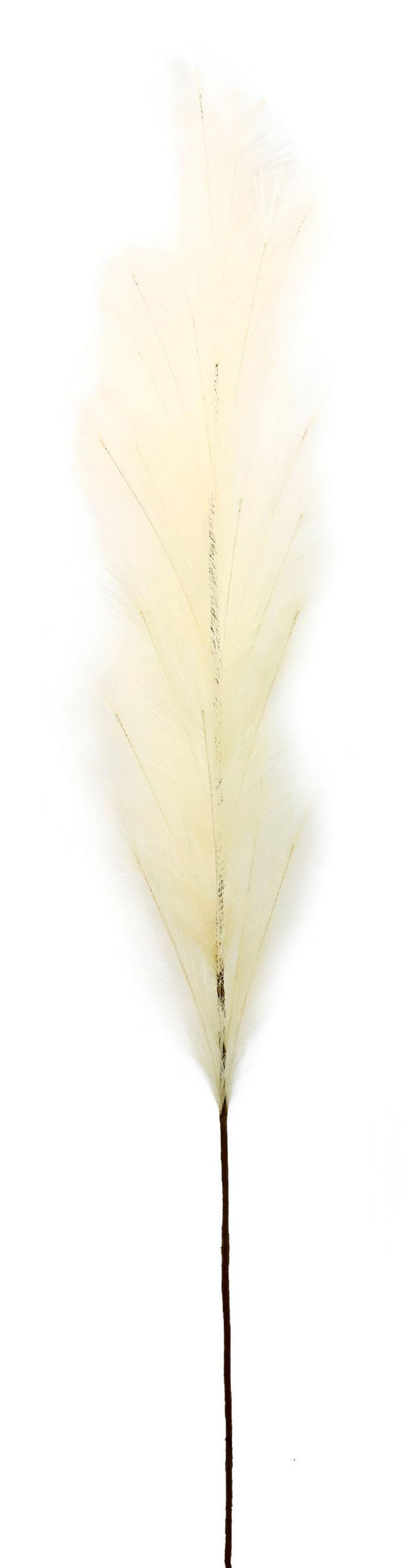 ZIERFEDER Elfenbein 170 cm - Weiß, Textil (0.01/170/0.01cm) - FURNARO