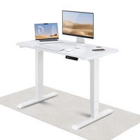 SCHREIBTISCH Elektrisch Höhenverstellbarer HomePro 120x60cm Weiß/Weiß mit Memory-Funktion, Anti-Kollisions Technologie - Weiß, Holzwerkstoff (60/120/62cm) - Desktronic