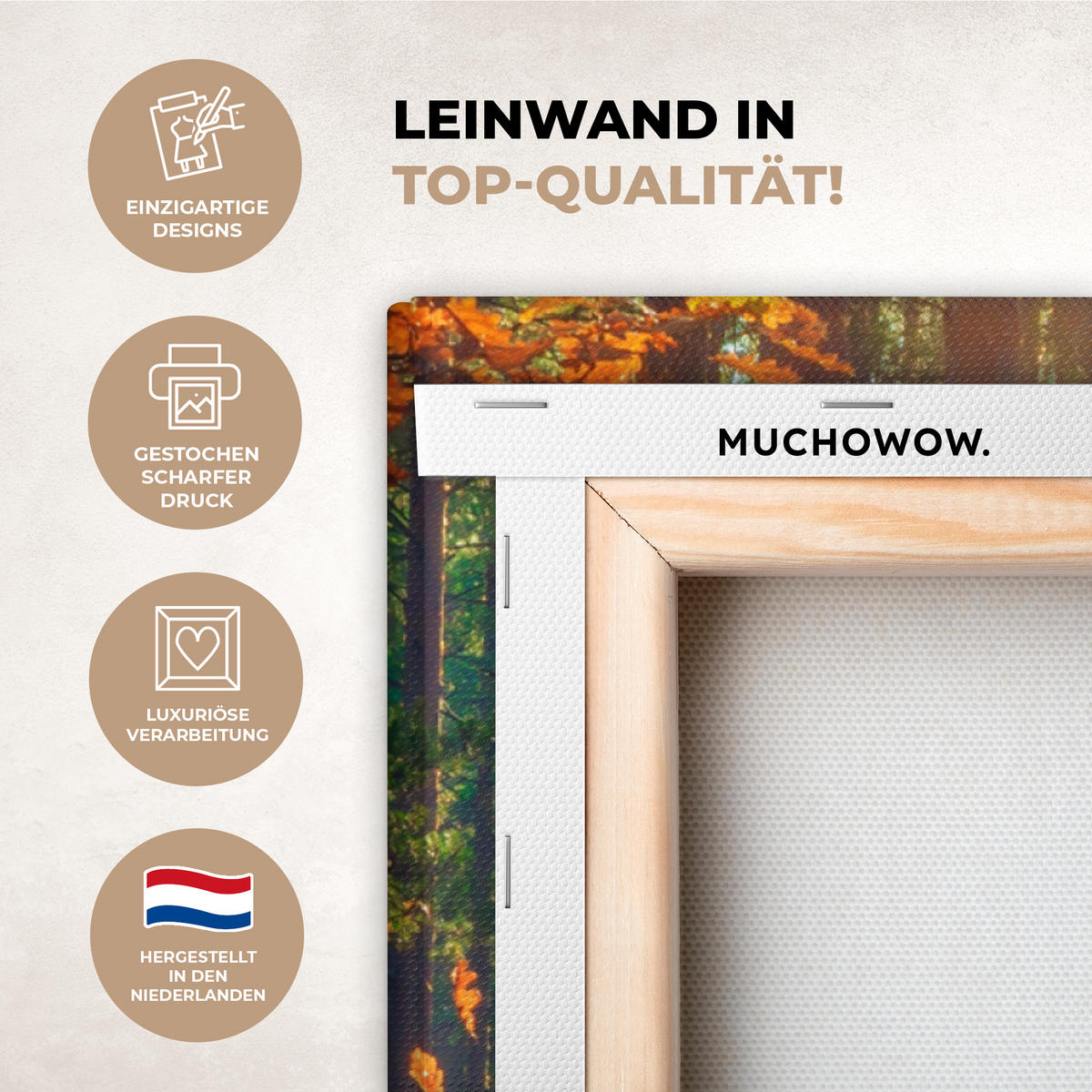 LEINWANDBILD Wald - Herbst - Bäume Deko Groß 90x90 cm - Dunkelgrün, Textil (90/90cm) - MuchoWow