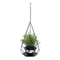 BLUMENAMPEL Innen Metall Wand 59 cm 96095 S mit Topf 6 Ecken - Schwarz, Metall (15/7.5/15cm) - DanDiBo