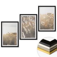 WANDBILDER 3er-Set - 40x60 cm Schwarzer Rahmen - Landschaftsgrasblumen Wärme - Schwarz, Kunststoff (40/60cm) - ArtPrintCave