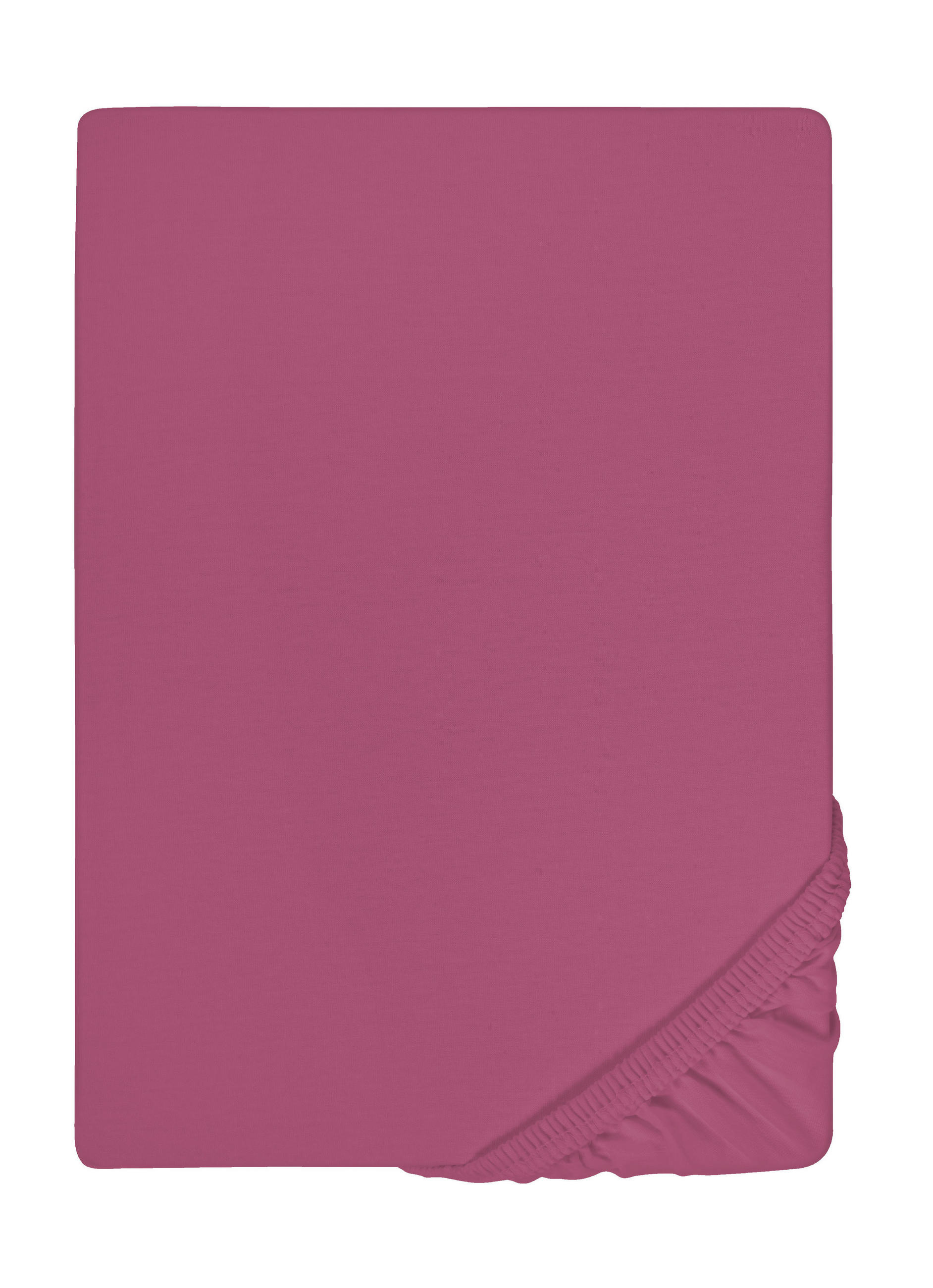 biberna Spannbetttuch Brombeere 200x200 cm