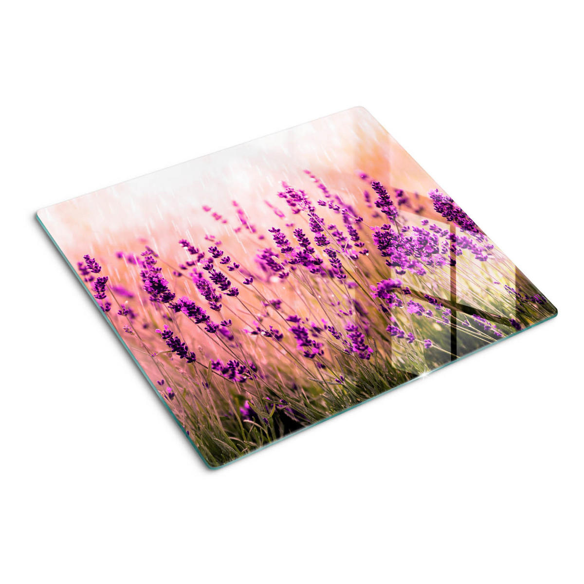 GLASPLATTE 60x52 cm Lavendel - Lila, Glas (60/0.4/52cm) - TULUP