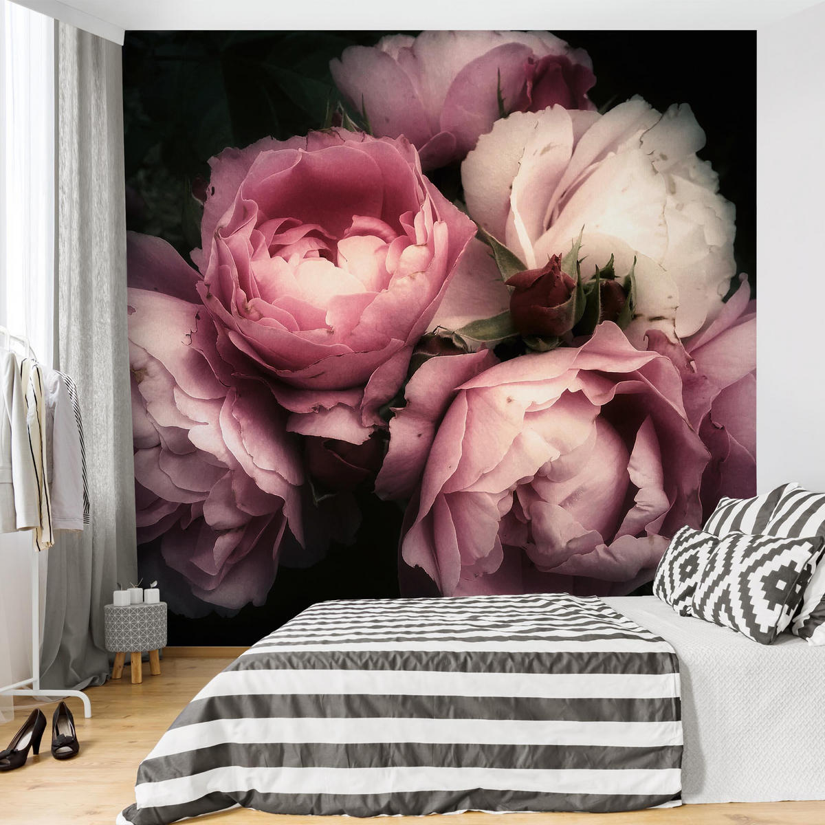 FOTOTAPETE Pfingstrosen vor Schwarz Shabby 288/288 cm - Rosa, Papier (288/288cm) - Bilderwelten