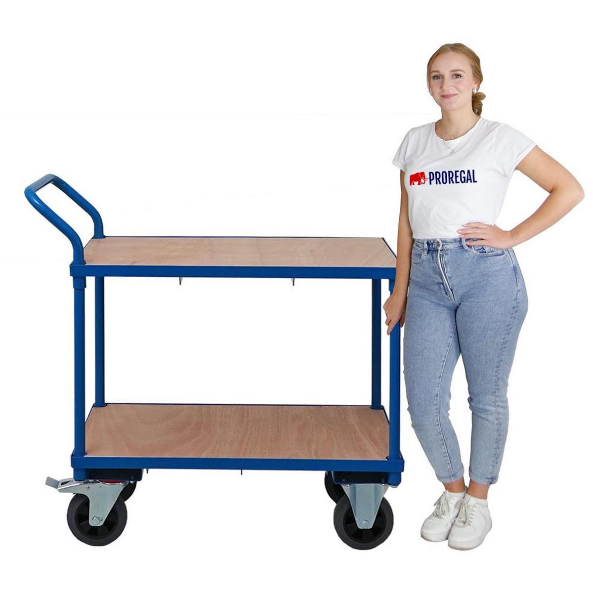 TISCHWAGEN mit 2 Etagen 95x50x97cm Traglast 400kg Lichtblau - Hellblau, Metall (97/50/95cm) - PROREGAL