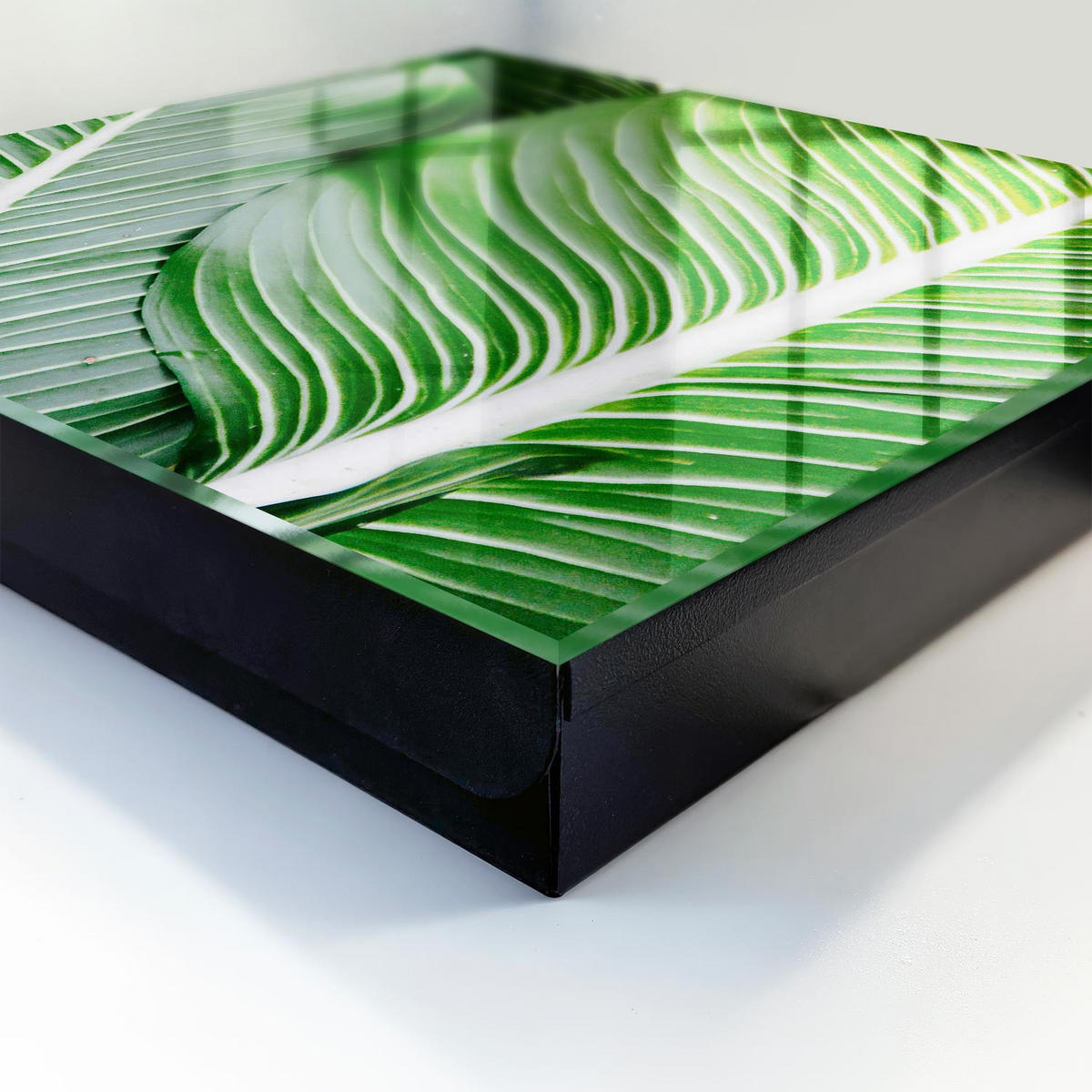 SCHLÜSSELBOX Schwarz 30x30 cm- Türöffnung nach rechts - Das Grün der Natur - Grün, Metall (30/30/5cm) - TULUP