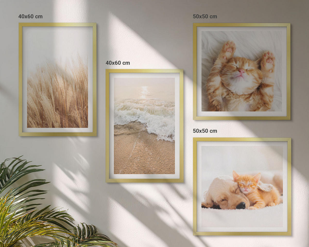 BILDER SET 4er Set - 50x50 cm & 40x60 cm Goldrahmen - Niedliche Tiere, Katzen, Hunde, Strand - Goldfarben, Kunststoff (50/50cm) - TULUP
