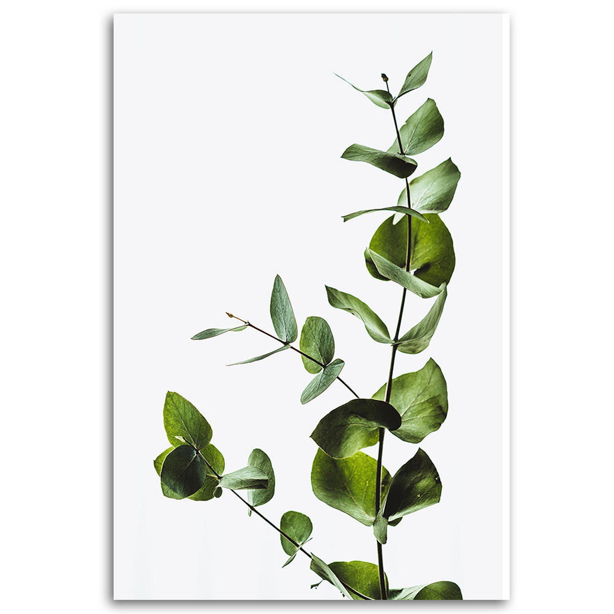 KUNSTDRUCK Grün 40/60 cm - Grün, Textil (40/60cm) - KUNSTLOFT