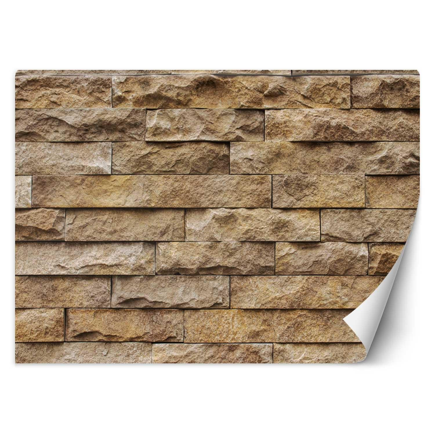 VLIESTAPETE Braun 200/140 cm - Braun, Textil (200/1cm) - KUNSTLOFT