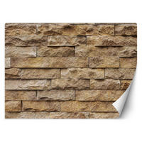 VLIESTAPETE Braun 200/140 cm - Braun, Textil (200/1cm) - KUNSTLOFT