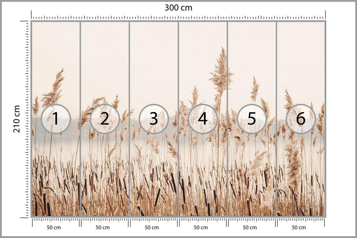 FOTOTAPETE für Wohnzimmer Pflanzen Natur 300x210 - Beige/Braun, Papier (300/210cm) - Muralo