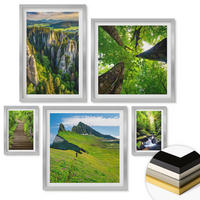 WANDBILDER 5er Set - 50x50 cm & 20x30 cm & 40x60 cm Silberner Rahmen - Grüne Berge Wasserfallwald - Silberfarben, Kunststoff (40/60cm) - ArtPrintCave