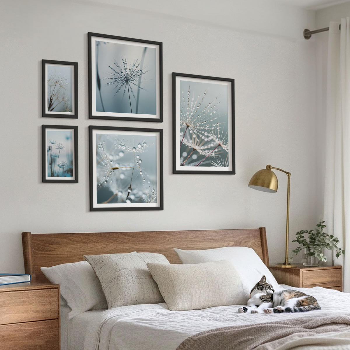 WANDBILDER 5er-Set - 50x50 cm & 20x30 cm & 40x60 cm Schwarzer Rahmen - Tautropfen auf Löwenzahn - Schwarz, Kunststoff (40/60cm) - ArtPrintCave